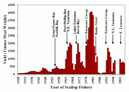 Bar graph: Scallop Yield