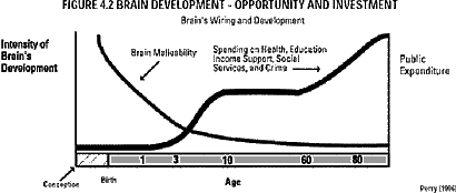 Graph showing that expenditure on health services rises as age icreases, while brain malleability decreases to almost nil by age 10.