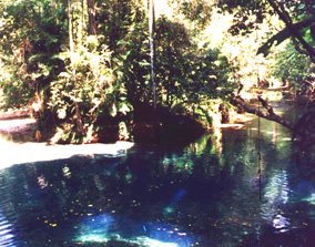 The Blue Pool, 1995