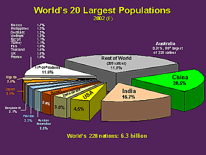 Pie graph showing the world's largest populations.