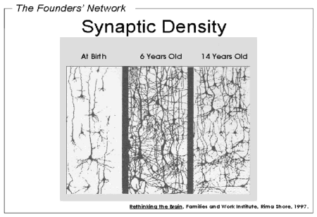 Synaptic Density